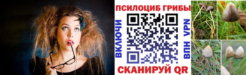 Псилоцибиновые грибы Psilocybine cubensis  Камешково 